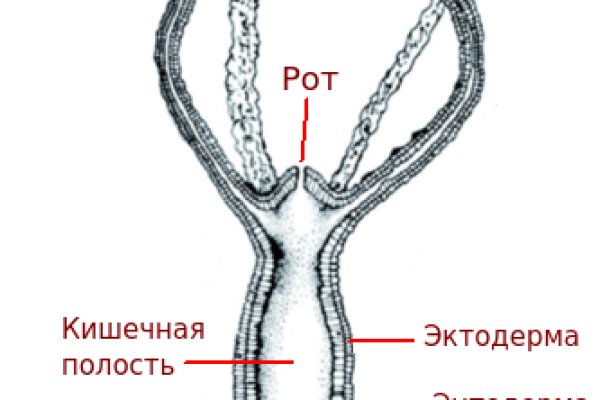 Где найти настоящую ссылку на мегу