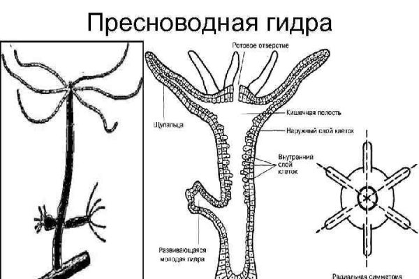 Mega sb зеркало onion